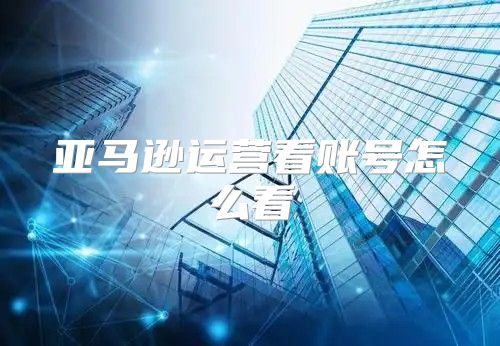 亚马逊运营看账号怎么看
