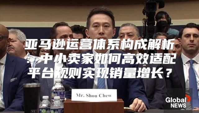 亚马逊运营体系构成解析：中小卖家如何高效适配平台规则实现销量增长？