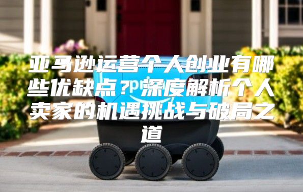 亚马逊运营个人创业有哪些优缺点？深度解析个人卖家的机遇挑战与破局之道