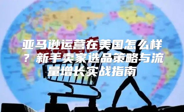 亚马逊运营在美国怎么样？新手卖家选品策略与流量增长实战指南