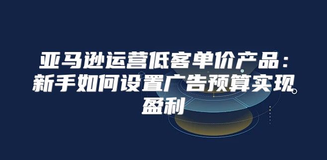 亚马逊运营低客单价产品：新手如何设置广告预算实现盈利