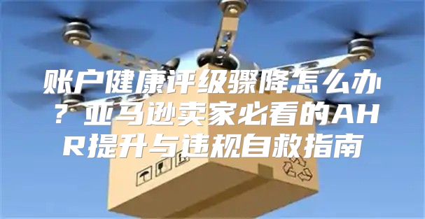账户健康评级骤降怎么办？亚马逊卖家必看的AHR提升与违规自救指南