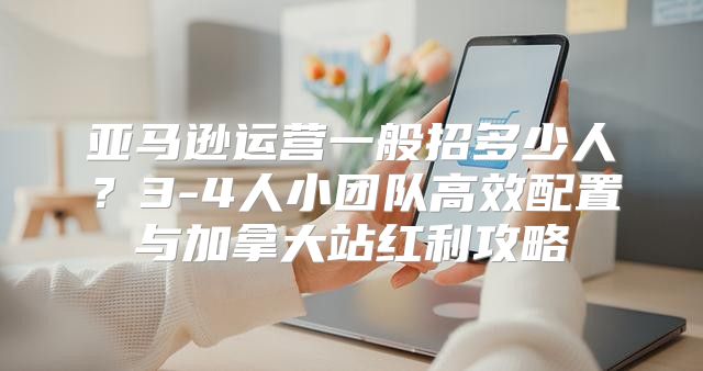 亚马逊运营一般招多少人？3-4人小团队高效配置与加拿大站红利攻略