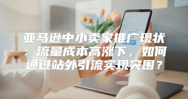 亚马逊中小卖家推广现状：流量成本高涨下，如何通过站外引流实现突围？