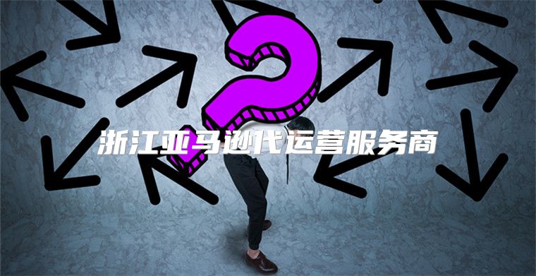 浙江亚马逊代运营服务商