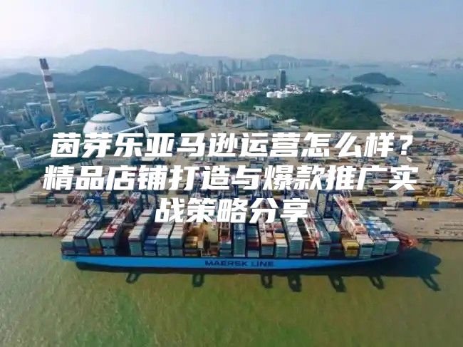 茵芽乐亚马逊运营怎么样？精品店铺打造与爆款推广实战策略分享