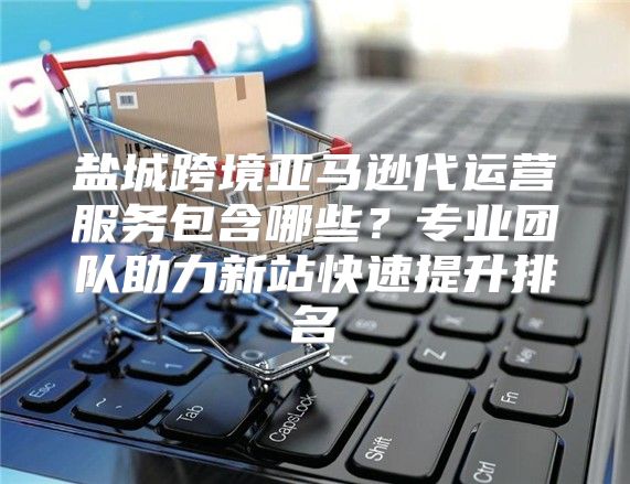 盐城跨境亚马逊代运营服务包含哪些？专业团队助力新站快速提升排名