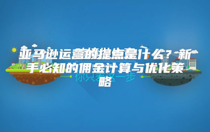 亚马逊运营的提点是什么？新手必知的佣金计算与优化策略