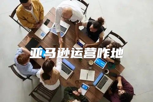 亚马逊运营咋地