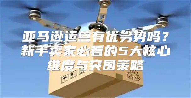 亚马逊运营有优劣势吗？新手卖家必看的5大核心维度与突围策略