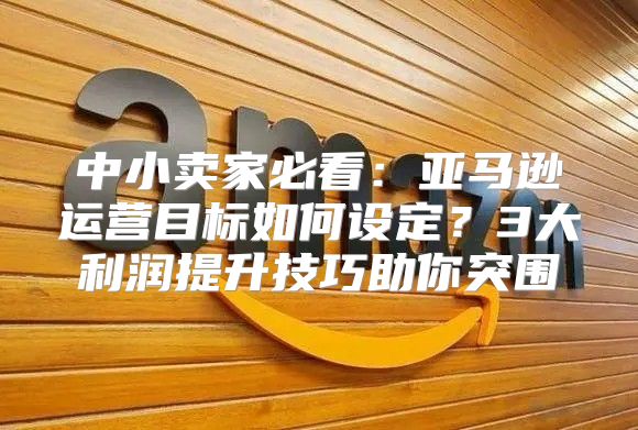 中小卖家必看：亚马逊运营目标如何设定？3大利润提升技巧助你突围