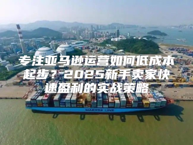 专注亚马逊运营如何低成本起步？2025新手卖家快速盈利的实战策略