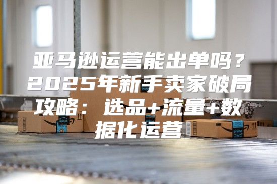 亚马逊运营能出单吗？2025年新手卖家破局攻略：选品+流量+数据化运营
