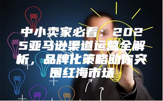 中小卖家必看：2025亚马逊渠道运营全解析，品牌化策略助你突围红海市场