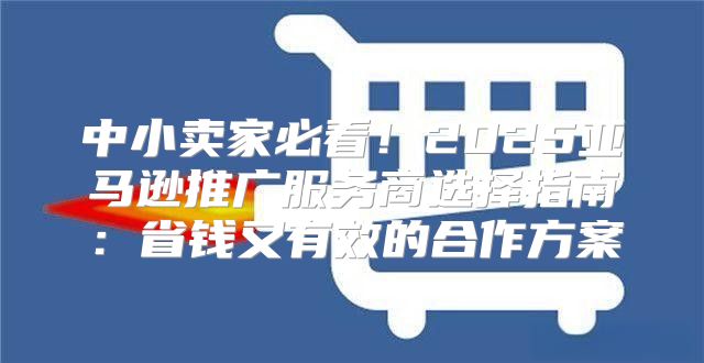 中小卖家必看！2025亚马逊推广服务商选择指南：省钱又有效的合作方案