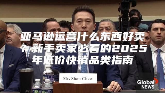 亚马逊运营什么东西好卖？新手卖家必看的2025年低价快销品类指南