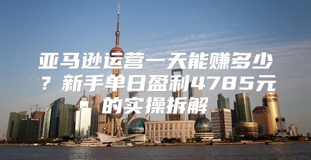 亚马逊运营一天能赚多少？新手单日盈利4785元的实操拆解