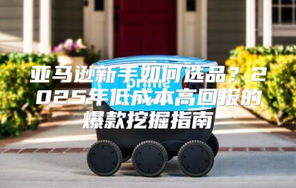亚马逊新手如何选品？2025年低成本高回报的爆款挖掘指南