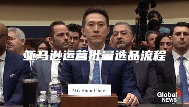 亚马逊运营批量选品流程