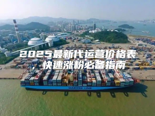 2025最新代运营价格表，快速涨粉必备指南