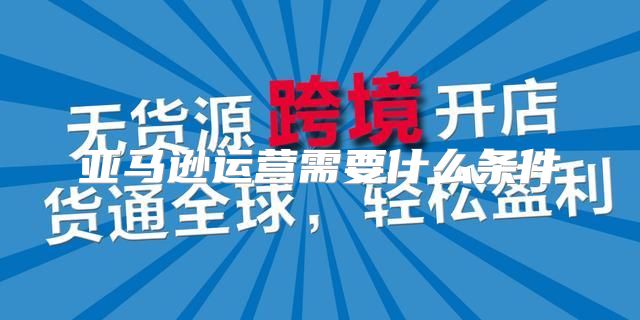 亚马逊运营需要什么条件