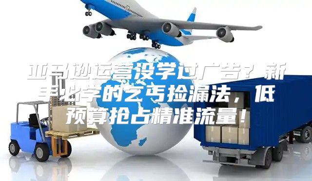 亚马逊运营没学过广告？新手必学的乞丐捡漏法，低预算抢占精准流量！