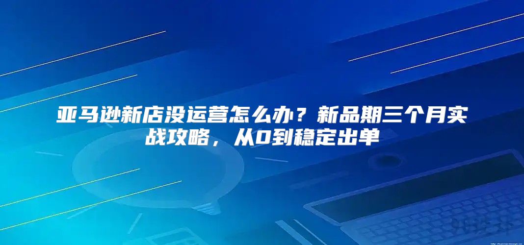 亚马逊新店没运营怎么办？新品期三个月实战攻略，从0到稳定出单