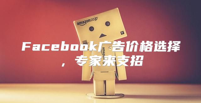 Facebook广告价格选择，专家来支招