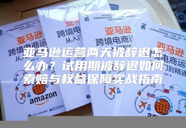 亚马逊运营两天被辞退怎么办？试用期被辞退如何索赔与权益保障实战指南