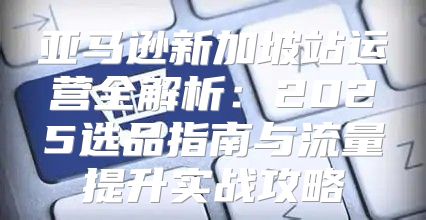 亚马逊新加坡站运营全解析：2025选品指南与流量提升实战攻略