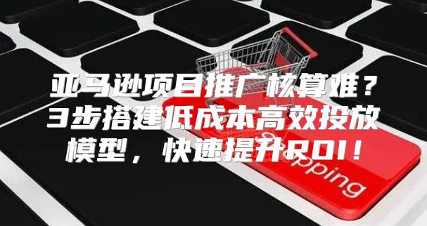 亚马逊项目推广核算难？3步搭建低成本高效投放模型，快速提升ROI！