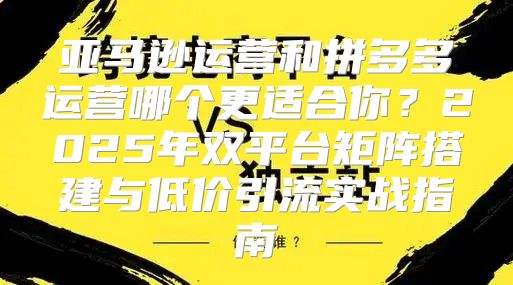 亚马逊运营和拼多多运营哪个更适合你？2025年双平台矩阵搭建与低价引流实战指南
