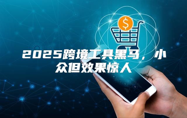 2025跨境工具黑马，小众但效果惊人