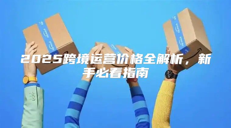 2025跨境运营价格全解析，新手必看指南