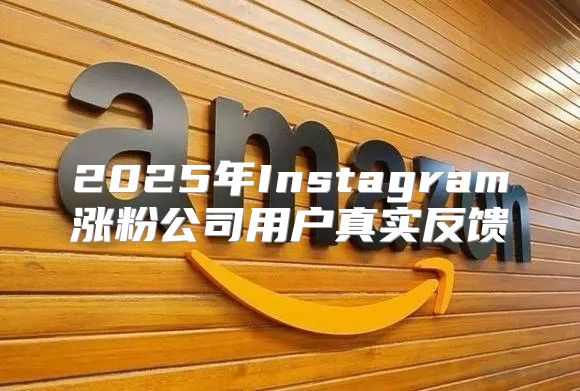 2025年Instagram涨粉公司用户真实反馈