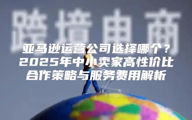 亚马逊运营公司选择哪个？2025年中小卖家高性价比合作策略与服务费用解析