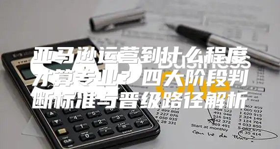 亚马逊运营到什么程度才算专业？四大阶段判断标准与晋级路径解析