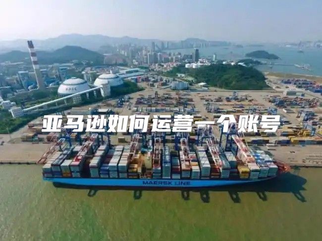 亚马逊如何运营一个账号