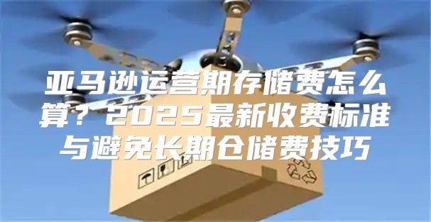 亚马逊运营期存储费怎么算？2025最新收费标准与避免长期仓储费技巧