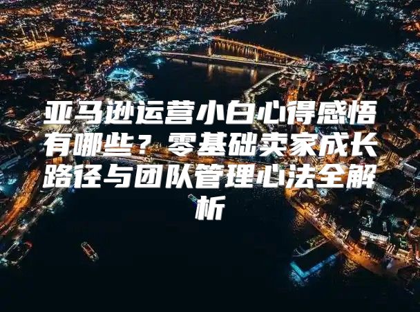 亚马逊运营小白心得感悟有哪些？零基础卖家成长路径与团队管理心法全解析