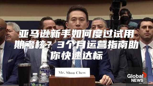 亚马逊新手如何度过试用期考核？3个月运营指南助你快速达标