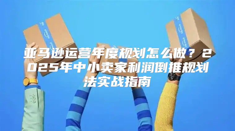 亚马逊运营年度规划怎么做？2025年中小卖家利润倒推规划法实战指南