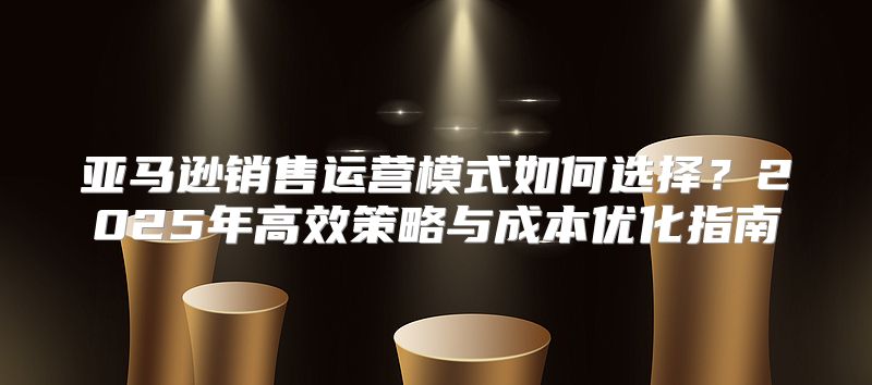 亚马逊销售运营模式如何选择？2025年高效策略与成本优化指南