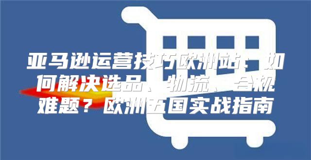 亚马逊运营技巧欧洲站：如何解决选品、物流、合规难题？欧洲五国实战指南