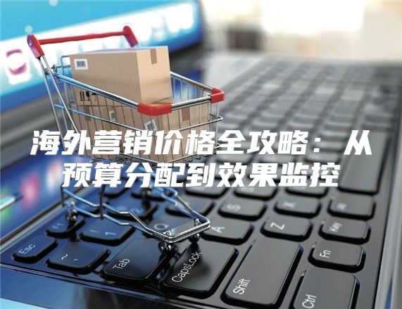 海外营销价格全攻略：从预算分配到效果监控