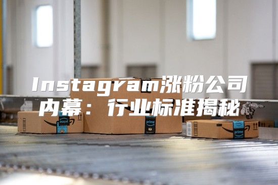 Instagram涨粉公司内幕：行业标准揭秘