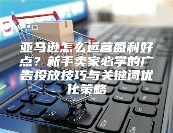 亚马逊怎么运营盈利好点？新手卖家必学的广告投放技巧与关键词优化策略