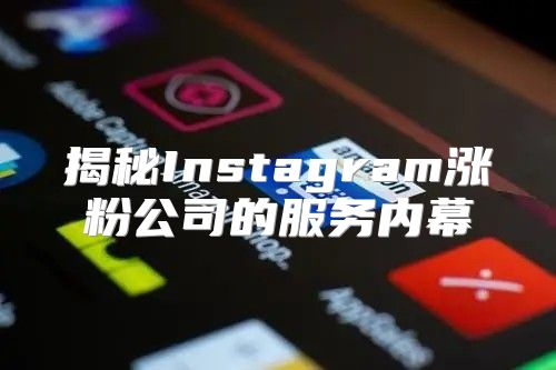 揭秘Instagram涨粉公司的服务内幕