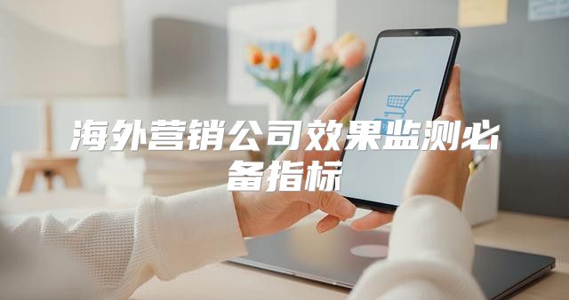海外营销公司效果监测必备指标