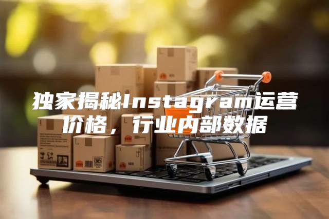 独家揭秘Instagram运营价格，行业内部数据